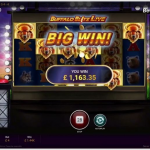 Buffalo Blitz Live: Slot-Inspired Casino Game Show